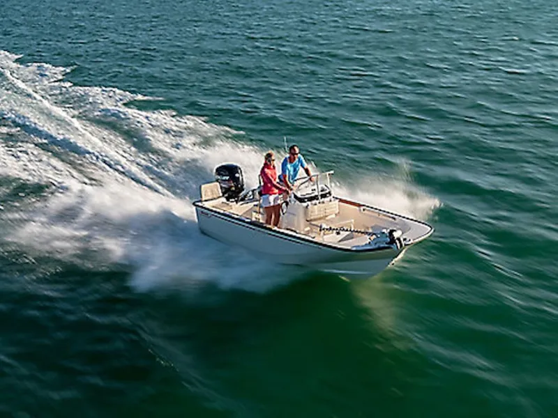 The Image of Boston Whaler 170 Montauk 2025 - 1