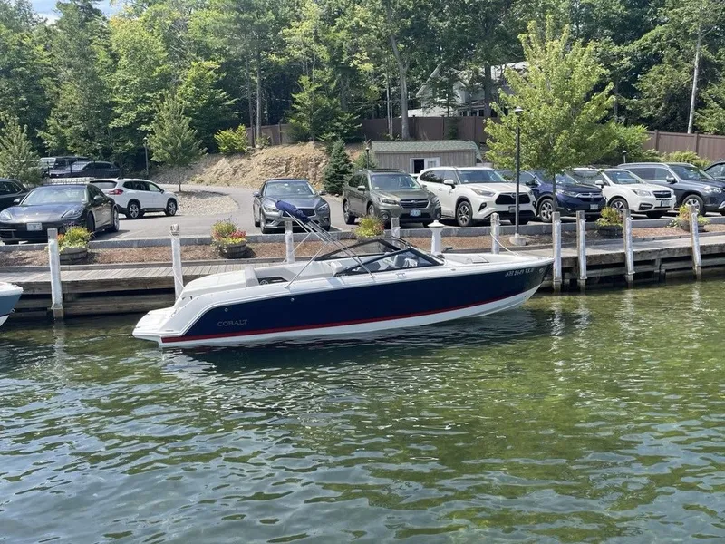 The Image of Cobalt CS23 2024 - 1