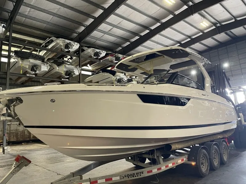 The Image of Cobalt R31 2025 - 1