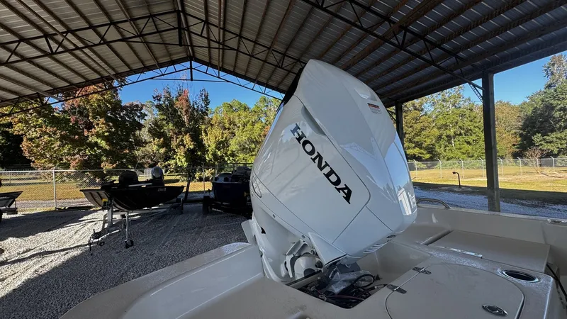 Slide: The Image of Carolina 23LS 2026 - 5