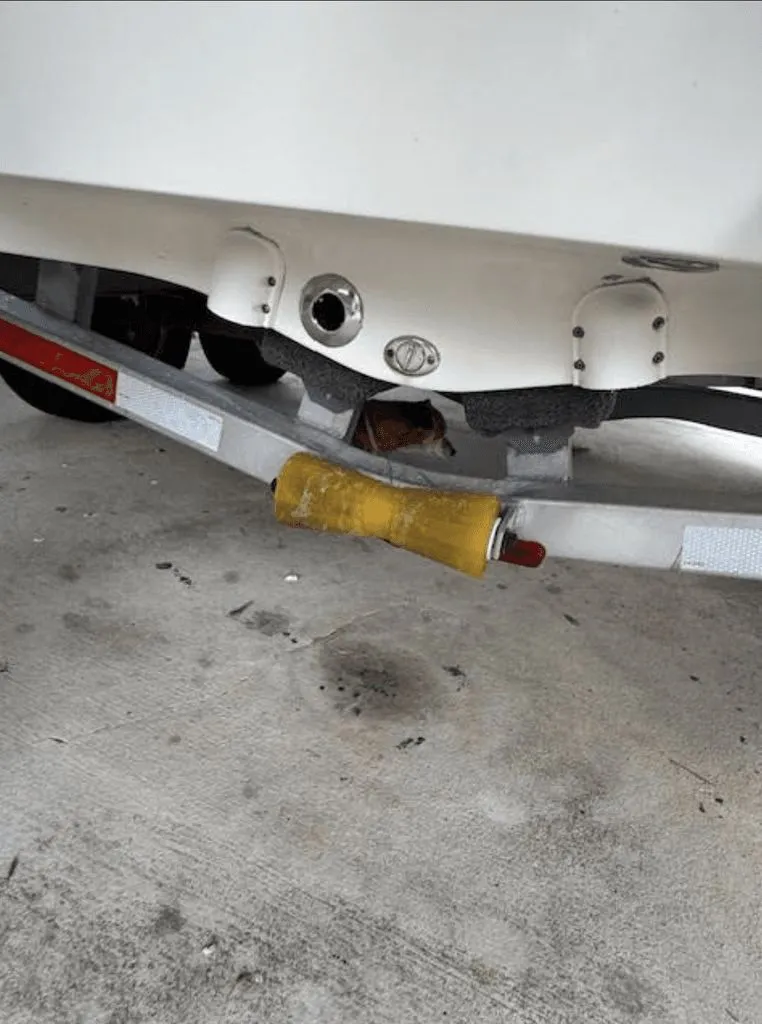 Slide: The Image of NauticStar 227 XTS CC 2019 - 43