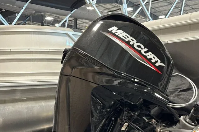 Slide: The Image of Trifecta 16FC SE_T Entertainment 25" 2025 - 3