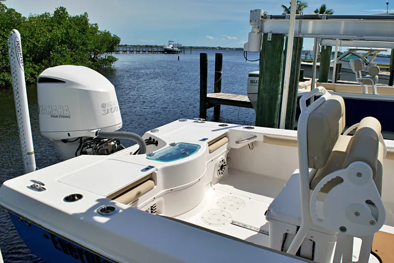 Slide: The Image of 2020 EVERGLADES 243 CC - Image 17 - 17