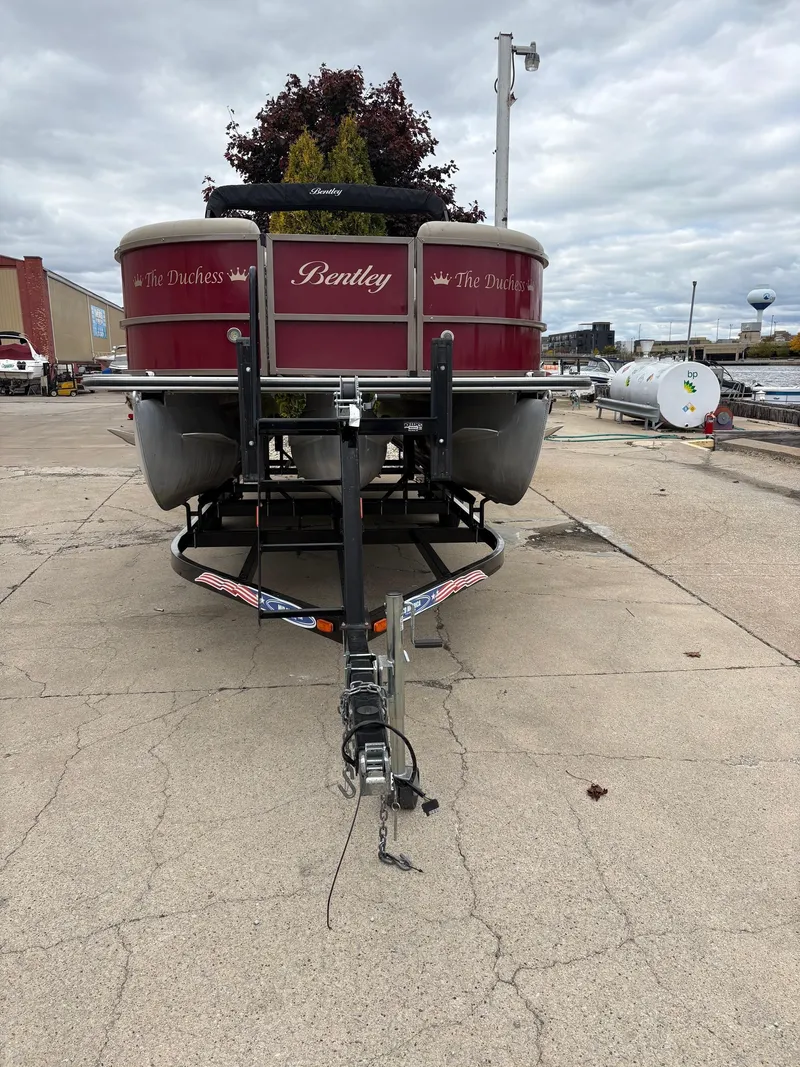 Slide: The Image of Bentley Bentley 243 Cruise (3/4 Tube) 2020 - 9