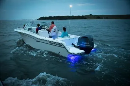 Slide: The Image of Grady-White Freedom 235 2017 - 8