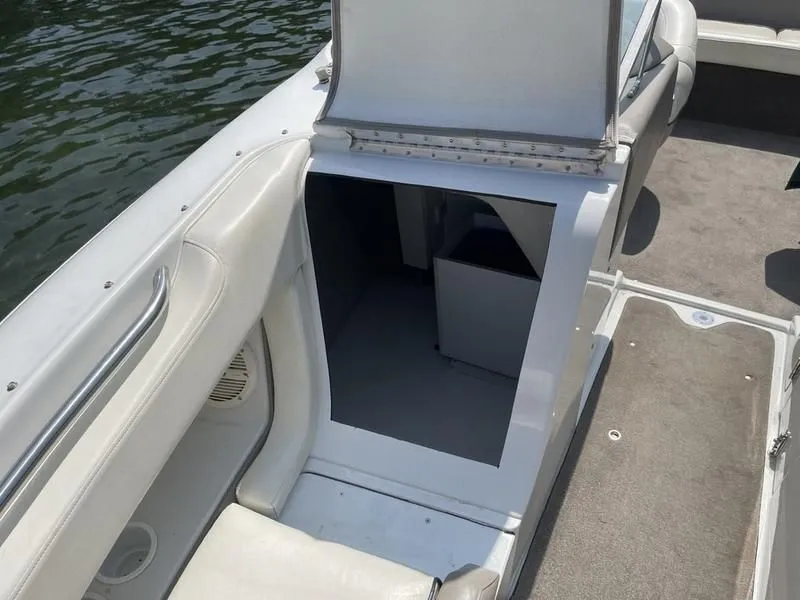 Slide: The Image of Cobalt 252 2000 - 14