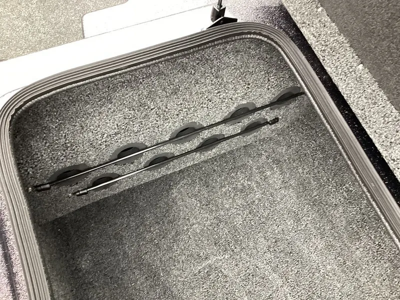 Slide: The Image of Bass Cat Lynx STS 2026 - 41