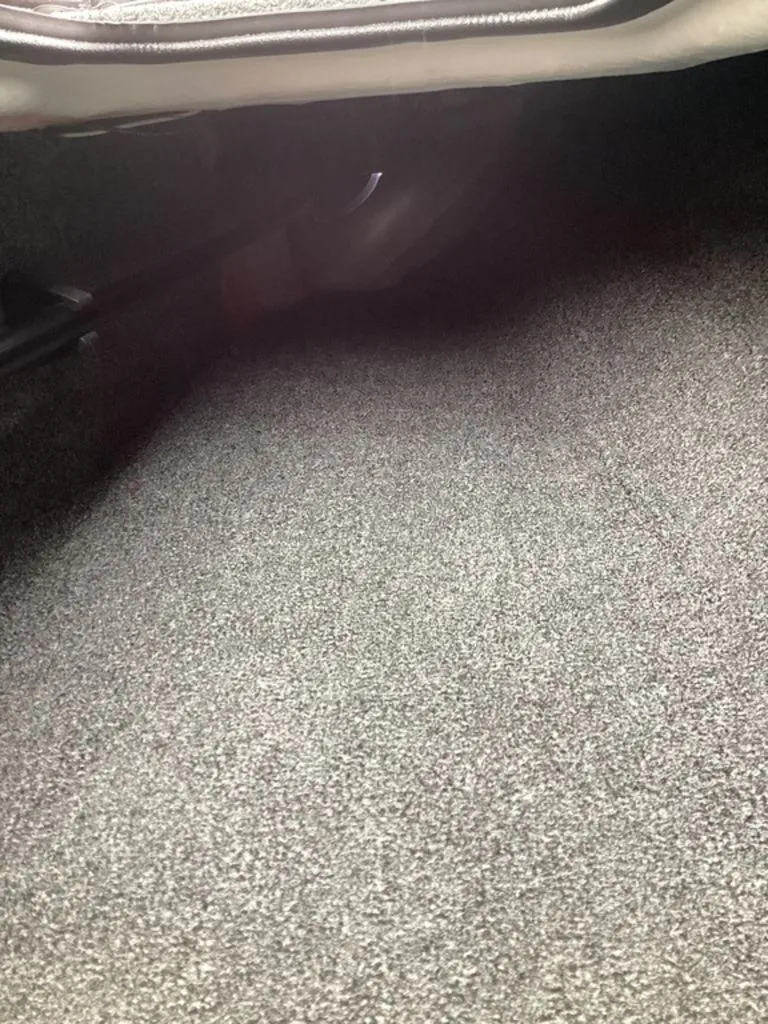 Slide: The Image of Bass Cat Lynx STS 2026 - 49