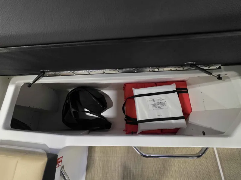 Slide: The Image of Sea Ray SDX 270 2026 - 14