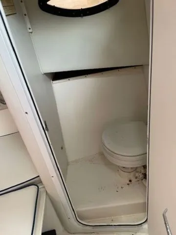 Slide: The Image of Cobia 260 Walk Around 2000 - 7