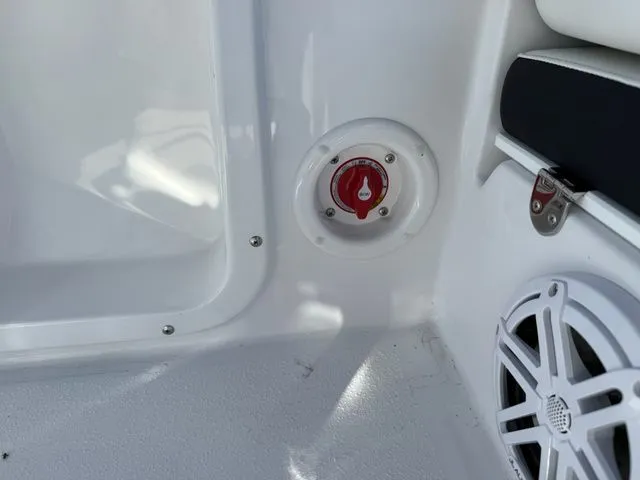 Slide: The Image of Stingray CC 173 2026 - 15