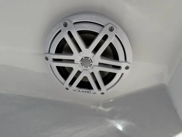 Slide: The Image of Stingray CC 173 2026 - 16