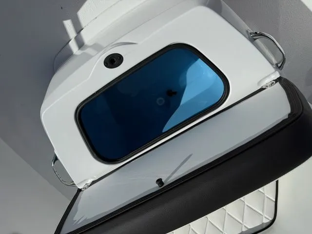 Slide: The Image of Stingray CC 173 2026 - 17