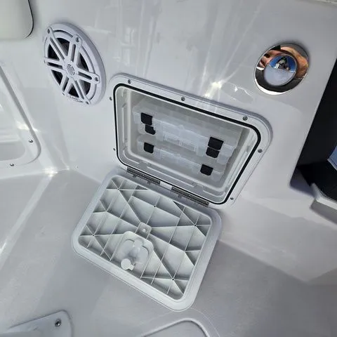 Slide: The Image of Stingray CC 206 2026 - 11