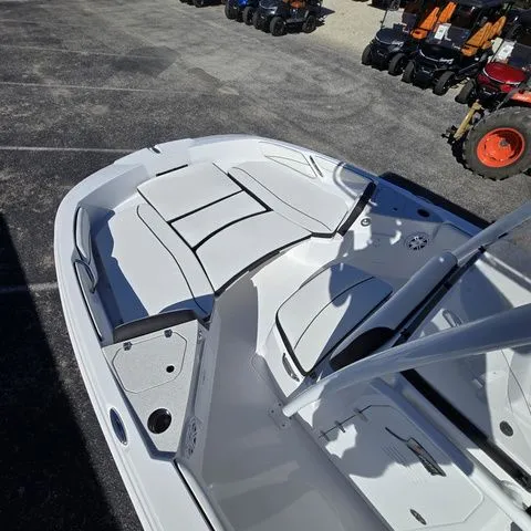 Slide: The Image of Stingray CC 206 2026 - 7