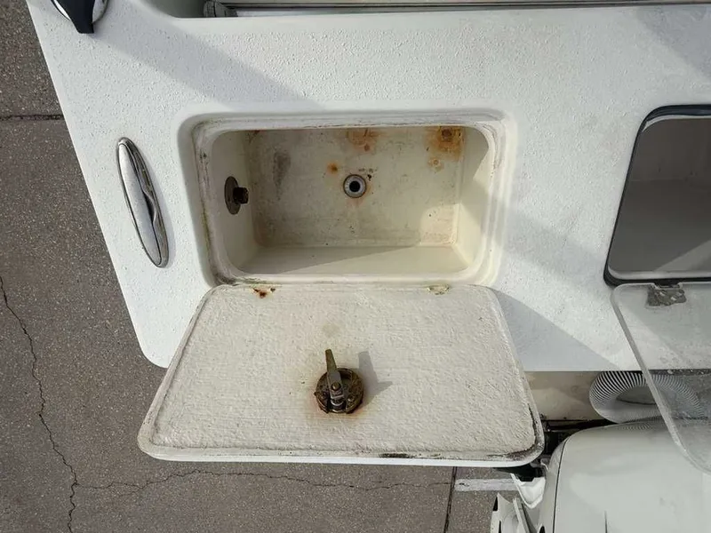 Slide: The Image of Andros Tarpon 26 2012 - 12