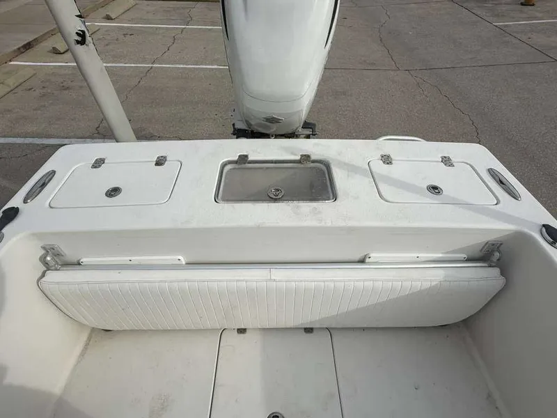 Slide: The Image of Andros Tarpon 26 2012 - 13