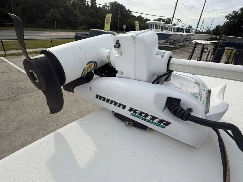 Slide: The Image of Andros Tarpon 26 2012 - 15