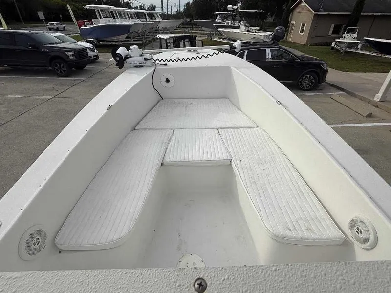 Slide: The Image of Andros Tarpon 26 2012 - 3