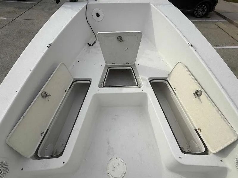 Slide: The Image of Andros Tarpon 26 2012 - 4