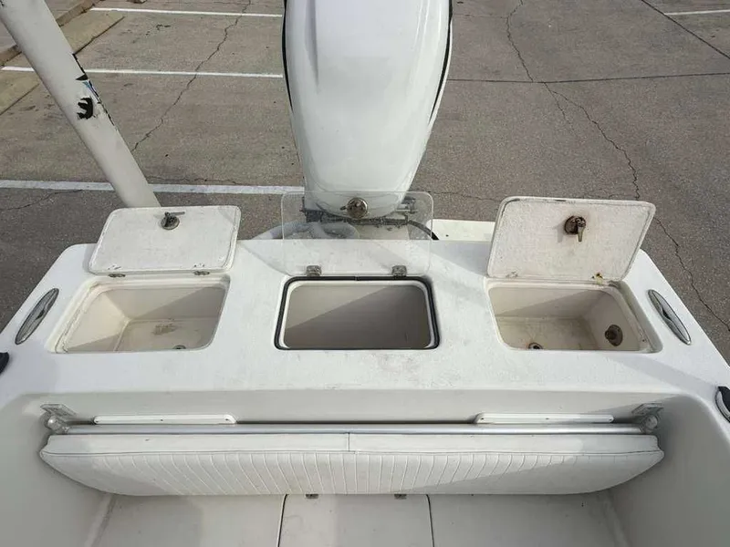 Slide: The Image of Andros Tarpon 26 2012 - 9