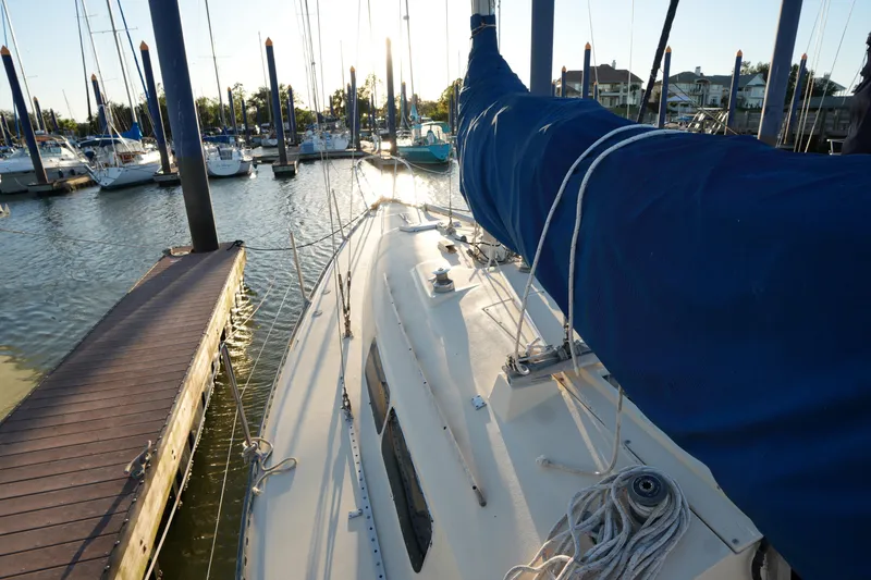 Slide: The Image of 1978 C&C 34 sailboat docked at marina, sunlit deck and blue sail cover. - 6