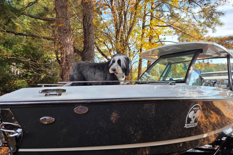 Slide: The Image of Dog on 2026 Monterey Elite 27 SD boat, surrounded by autumn trees. - 6