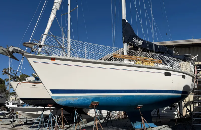 Slide: The Image of Hunter 37.5 1996 - 61