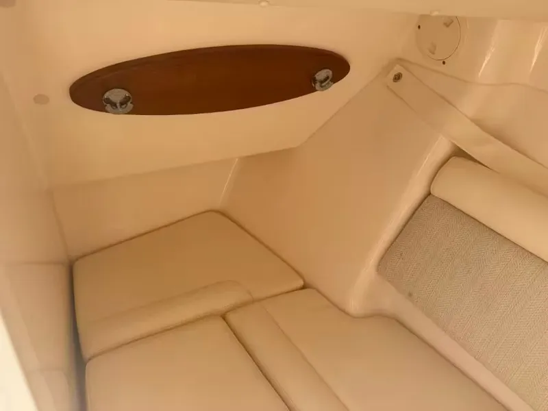 Slide: The Image of Grady-White Freedom 325 2019 - 17