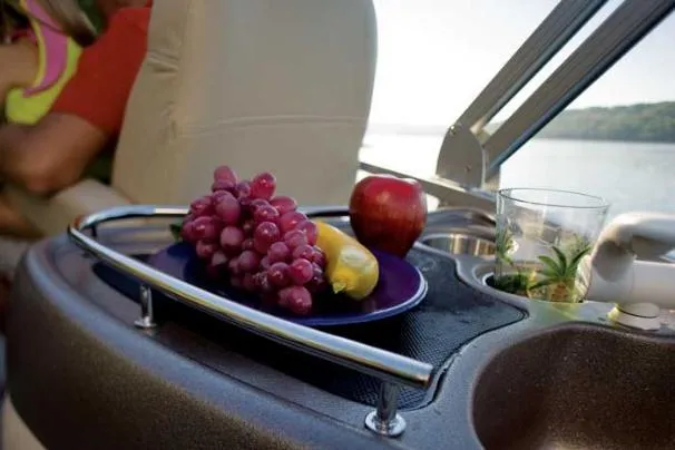 Slide: The Image of Speaker on 2008 Sun Tracker Party Barge 25 I/O Regency Edition boat. - 17