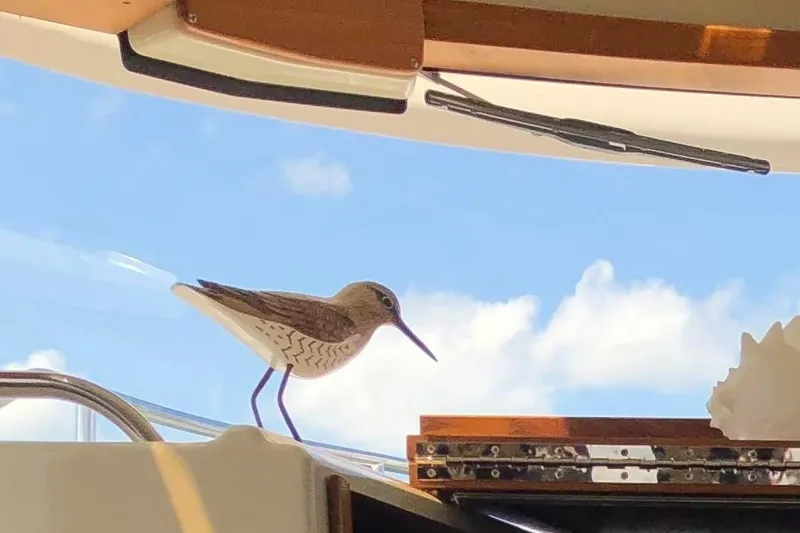 Slide: The Image of Bird perched on 2023 Ranger Tugs R-27 boat, blue sky background. - 13
