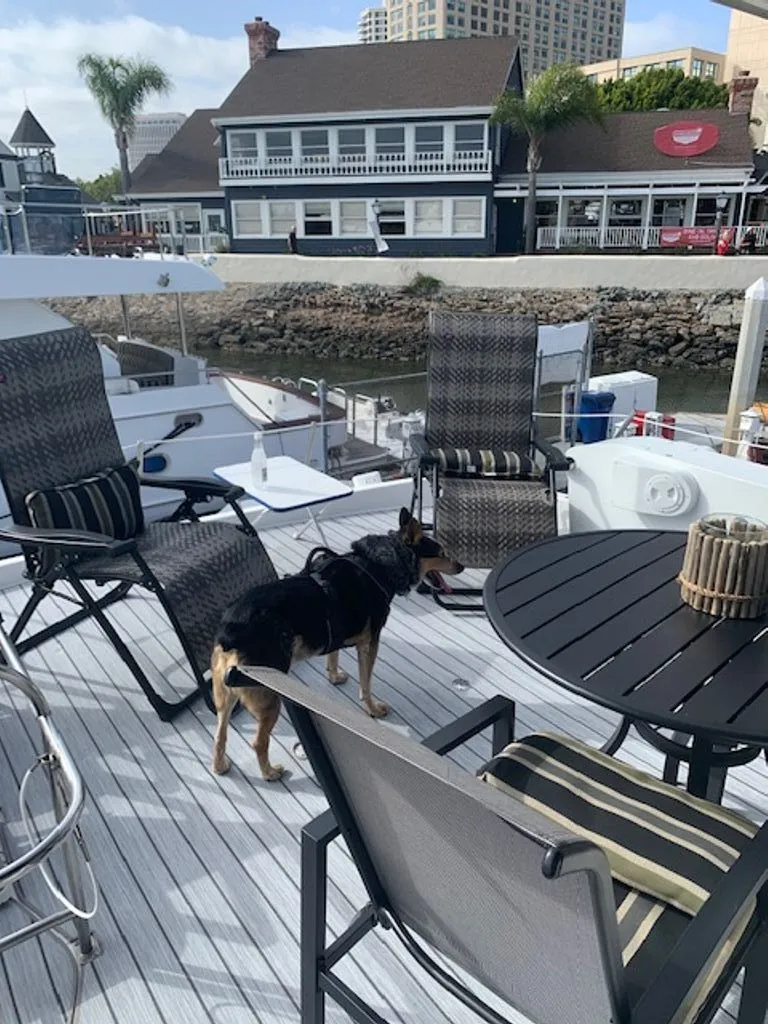 Slide: The Image of Bayliner 5788 Pilot House Motoryacht 1999 - 39