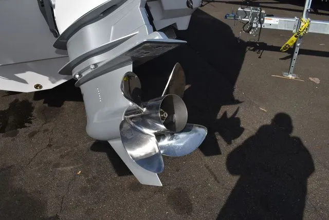 Slide: The Image of Blackfin 252 CC 2025 - 75