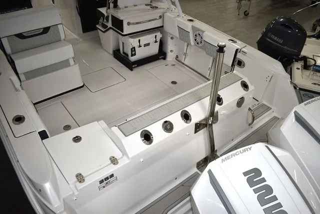 Slide: The Image of Blackfin 252 DC 2025 - 10