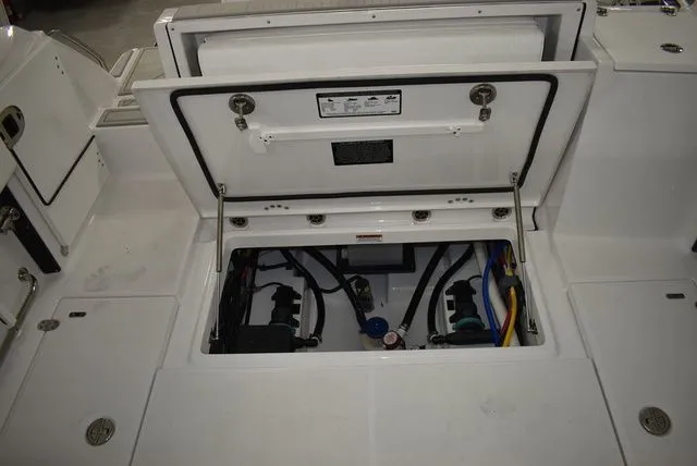 Slide: The Image of Blackfin 252 DC 2025 - 25