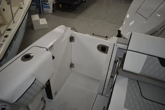 Slide: The Image of Blackfin 252 DC 2025 - 31