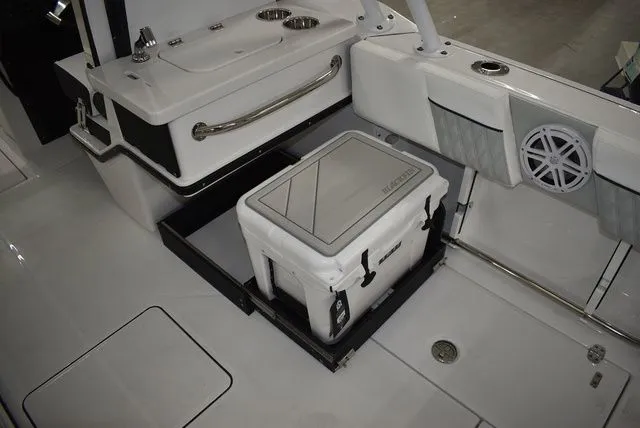 Slide: The Image of Blackfin 252 DC 2025 - 34