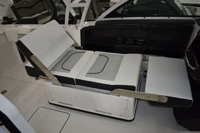 Slide: The Image of Blackfin 252 DC 2025 - 38