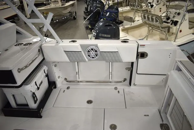 Slide: The Image of Blackfin 252 DC 2025 - 74