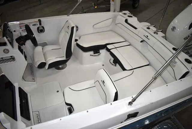 Slide: The Image of Stingray 172 DC 2025 - 13