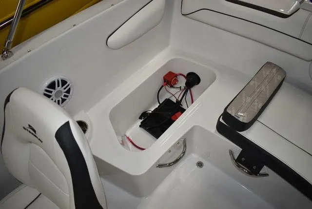 Slide: The Image of Stingray 172 DC 2025 - 29