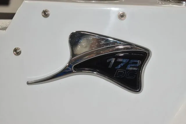 Slide: The Image of Stingray 172 DC 2025 - 44