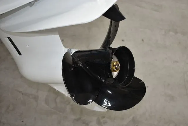 Slide: The Image of Stingray 172 DC 2025 - 46