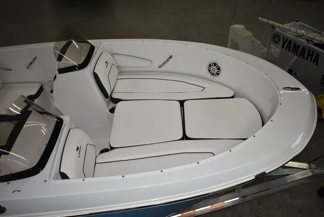 Slide: The Image of Stingray 172 DC 2025 - 6