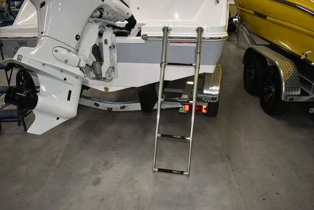 Slide: The Image of Stingray 172 DC 2025 - 16