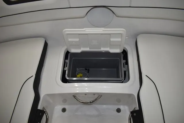 Slide: The Image of Stingray 172 DC 2025 - 26