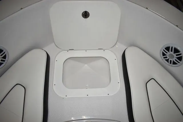 Slide: The Image of Stingray 172 DC 2025 - 38