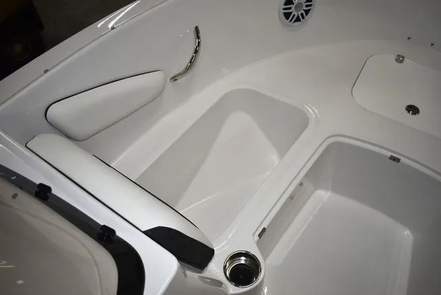 Slide: The Image of Stingray 172 DC 2025 - 39