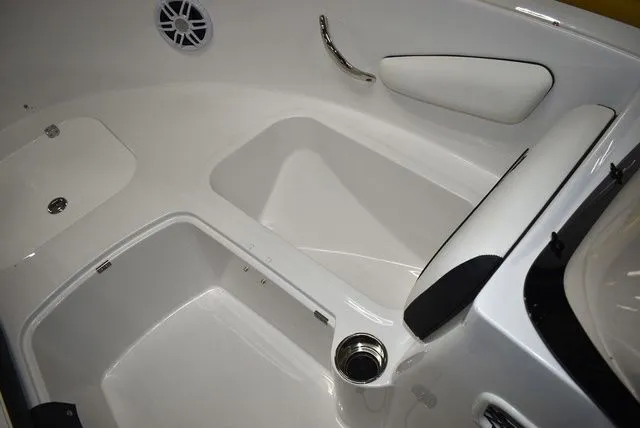 Slide: The Image of Stingray 172 DC 2025 - 40