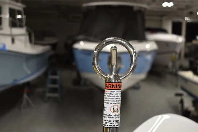 Slide: The Image of Stingray 172 DC 2025 - 43